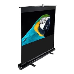 �G���[�g�X�N���[�� �v���W�F�N�^�[�X�N���[�� EZ�V�l�} 100�C���`(16:9) �u���b�N�P�[�X F100NWH
