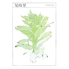 ���萉 (�����ܓ��{���w 4)