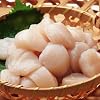 SHUEI �㎿ �k�C���Y�ق��ĊL��1�L���@2680�~