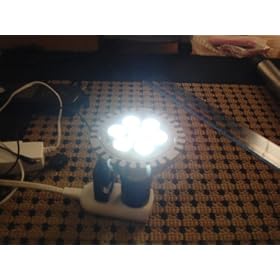 �V���~�PW�̋���LED�I�i���j�C�����A�T���S�A�R�[�����ɁI