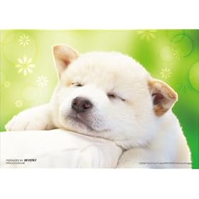 300�}�C�N���s�[�X �����ς��V�񂾂� S73-573
