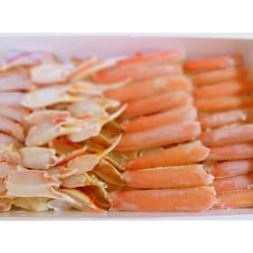 �y���������z�����I���Y���C�K�j�r�@2Kg�y�M�t�g�E�v���[���g�ɍœK�ȉ��ϔ�����z