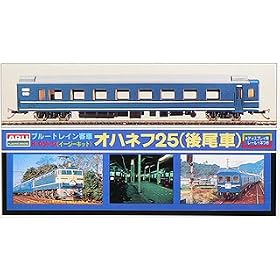 1/80 �u���[�g���C���q�� No.5 �I�n�l�t25 (�����)
