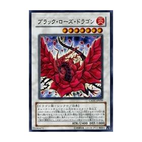�V�Y���V���O���J�[�h �u���b�N�E���[�Y�E�h���S�� �E���g�����A csoc-jp039