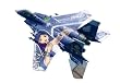 F-15E �X�g���C�N�C�[�O�� �A�C�h���}�X�^�[ �@���瑁 (1/48 SP269)