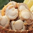 SHUEI �y�󂠂�z�k�C���Y�z�^�e�i�{�C���j1kg�ܓ�