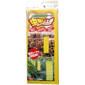 �J����@���͔S���⒎�V�[�g�@�������@���F�@20����