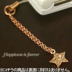 ���Ɋ肢������āc���̓V�R�_�C�������h �v�` �`���[���g�уX�g���b�v�y����Ȃ��z