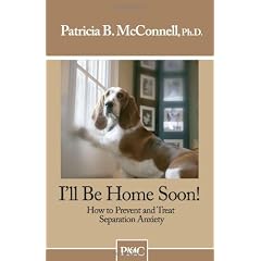 I'll Be Home Soon: How to Prevent and Treat Separation Anxiety