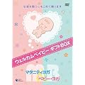 �E�F���J���x�C�r�[ DVD�M�t�g�{�b�N�X �}�^�j�e�B���K&�x�r�[�E���K