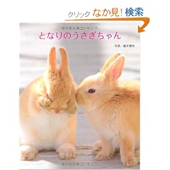 �ƂȂ�̂����������