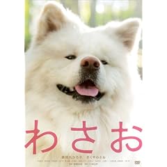 �킳�� [DVD]