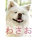 �킳�� [DVD]