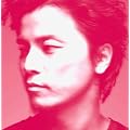 ��(��������)(DVD�t)