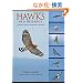 Hawks at a Distance: Identification of Migrant Raptors