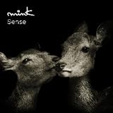 [CD]mink Sense(初回限定オータムプライス盤)(DVD付)