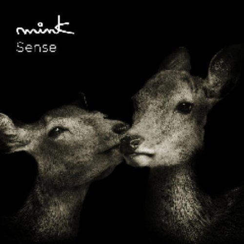  Sense(初回限定オータムプライス盤)(DVD付)