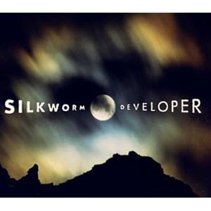 【クリックで詳細表示】Developer [Import]