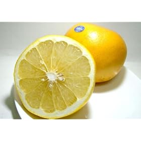 �A�����J�E�t�����_�Y�@�O���[�v�t���[�c ���� ���32����