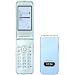 docomo STYLE series N-06B �u���[