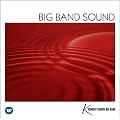 BIG BAND SOUND ~�S��r�b�O�o���h�X�e�[�W~