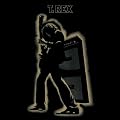 Electric Warrior