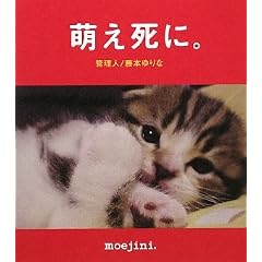 �G�����ɁB