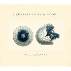 Radiolarians 1
