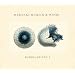 Radiolarians I