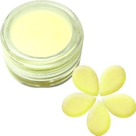 DNails�J���[�p�E�_�[/�p�X�e���C�G���[