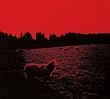 HELL�|SEE�yreissue�z