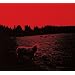 HELL�|SEE�yreissue�z