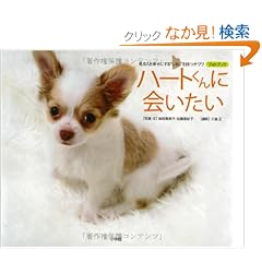 �n�[�g����ɉ���� ����l���K���ɂ���g���邵"�����`���� �t�H�g�u�b�N