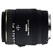 �V�O�} 70mm F2.8 EX DG MACRO �L���m���p
