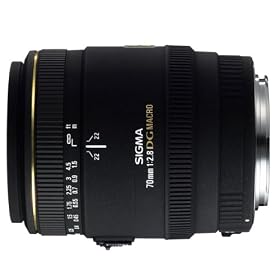 �V�O�} 70mm F2.8 EX DG MACRO �j�R���p