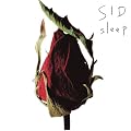 sleep(��������A)(DVD�t)