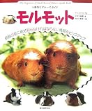 [Book]井川 俊彦 モルモット (小動物ビギナーズガイド)