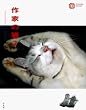 ��Ƃ̔L �Q (�R���i�E�u�b�N�X)