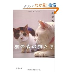 �L�̐X�̔L����