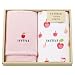INSTYLE AKIKO OBUCHI �t�F�C�X�^�I�� 2���Z�b�g ISE-100 ISE-100