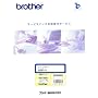 BROTHER ���[�U�v�����^�[�o���T�[�r�X�p�b�N4�N MVS101401