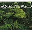 WONDERFUL WORLD