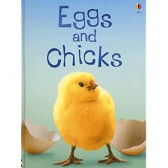 Eggs and Chicks (Beginners Nature, Level 1)