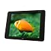 PLANEX ���掿 8�^�t���J���[�f�B�X�v���C (SVGA�E800�~600�E1670���F�EUSB���d) LCD-8CS