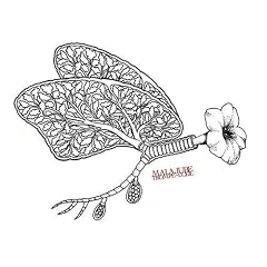 �g�����v�E���C��