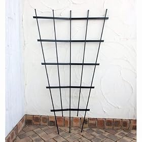 PC�g�����X 150�^�@�i����151cm�j
