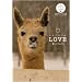 ALPACA LOVE�\�����̃A���p�J (ALPACA POST CARD BOOK)