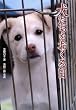 ����������������\���̖��A�D�ɂȂ邽�߂ɐ��܂�Ă����񂶂�Ȃ� (�m���t�B�N�V���� �m��ꂴ�鐢�E)