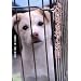����������������\���̖��A�D�ɂȂ邽�߂ɐ��܂�Ă����񂶂�Ȃ� (�m���t�B�N�V���� �m��ꂴ�鐢�E)
