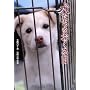 ����������������\���̖��A�D�ɂȂ邽�߂ɐ��܂�Ă����񂶂�Ȃ� (�m���t�B�N�V���� �m��ꂴ�鐢�E)